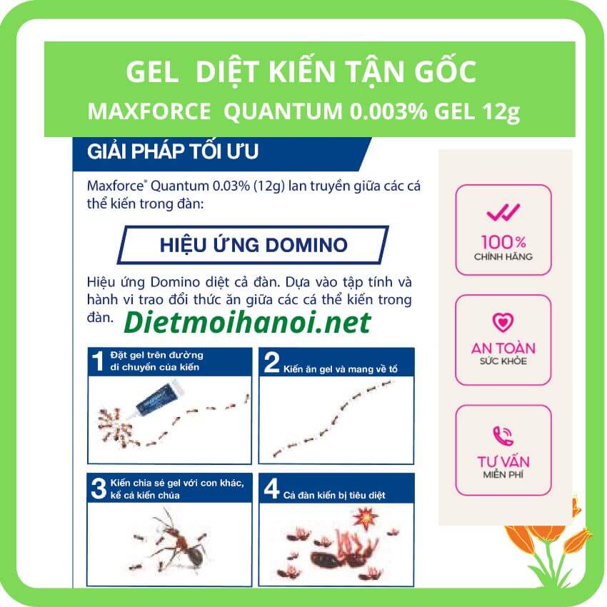 Thuốc diệt kiến Maxforce Quantum nhập khẩu Pháp 5 Thuốc diệt kiến Maxforce Quantum nhập khẩu Pháp 1