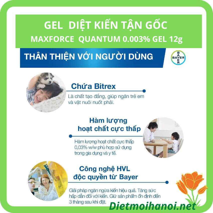 Thuốc diệt kiến Maxforce Quantum nhập khẩu Pháp 4 Thuốc diệt kiến Maxforce có nhiều ưu việt