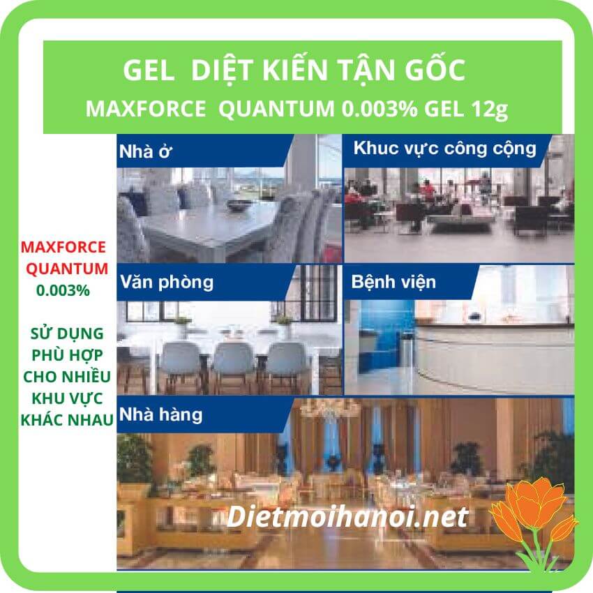 Thuốc diệt kiến Maxforce Quantum nhập khẩu Pháp 9 Thuốc diệt kiến Maxforce Quantum nhập khẩu Pháp 4