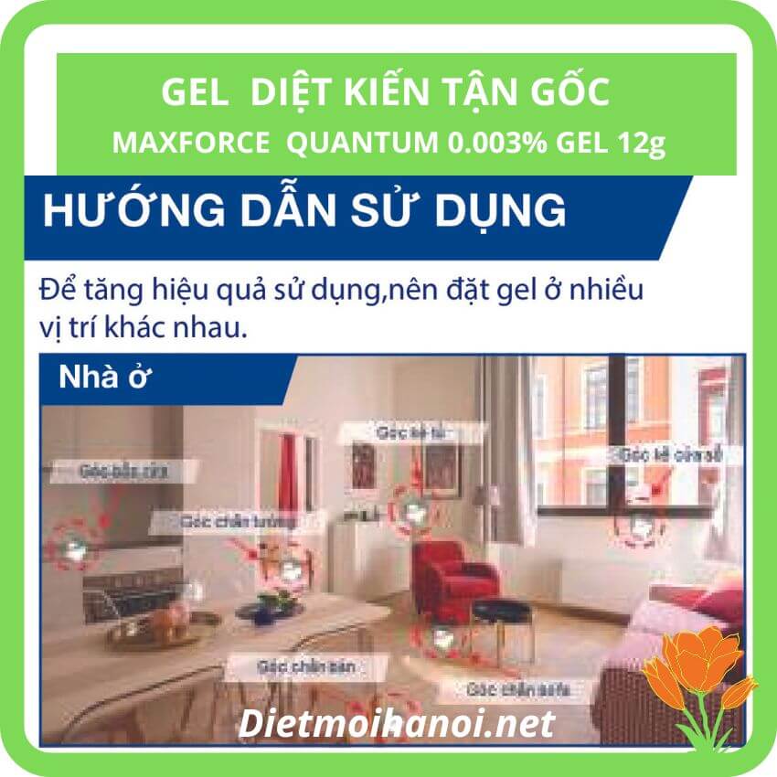 Thuốc diệt kiến Maxforce Quantum nhập khẩu Pháp 8 Thuốc diệt kiến Maxforce Quantum nhập khẩu Pháp 3