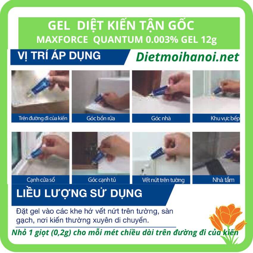 Thuốc diệt kiến Maxforce Quantum nhập khẩu Pháp 6 Cách dùng thuốc diệt kiến tận gốc Mapfoce dễ dàng sử dụng